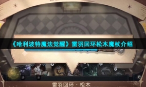 《哈利波特魔法觉醒》雷羽回环松木魔杖介绍