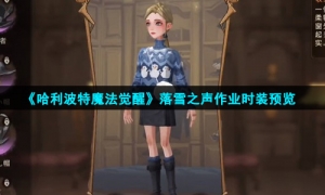 《哈利波特魔法觉醒》落雪之声作业时装预览