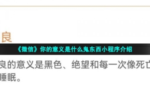 《微信》你的意义是什么鬼东西小程序介绍