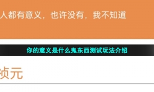 你的意义是什么鬼东西测试玩法介绍