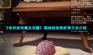 《哈利波特魔法觉醒》蒲绒绒宠物获得方法介绍