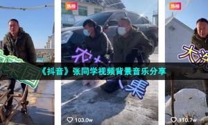 《抖音》张同学视频背景音乐分享