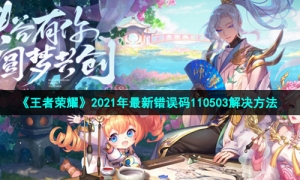 《王者荣耀》2021年最新错误码110503解决方法