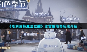 《哈利波特魔法觉醒》冰雪魁地奇玩法介绍