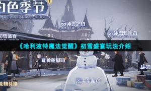 《哈利波特魔法觉醒》初雪盛宴玩法介绍