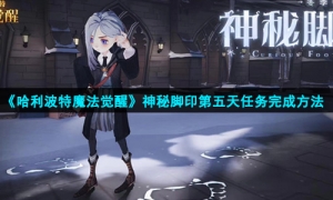 《哈利波特魔法觉醒》神秘脚印第五天任务完成方法