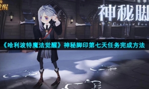 《哈利波特魔法觉醒》神秘脚印第七天任务完成方法