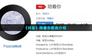 《抖音》陪着你歌曲介绍