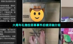 六周年礼物拉菲草事件后续详细介绍