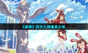 《原神》四方之网道具介绍