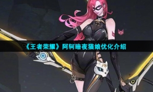《王者荣耀》阿轲暗夜猫娘优化介绍