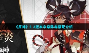 《原神》2.3版本辛焱阵容搭配介绍