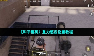 《和平精英》重力感应设置教程
