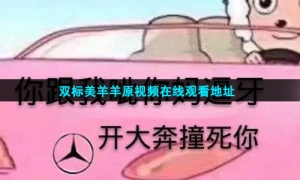 双标美羊羊原视频在线观看地址