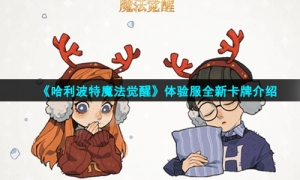 《哈利波特魔法觉醒》体验服全新卡牌介绍