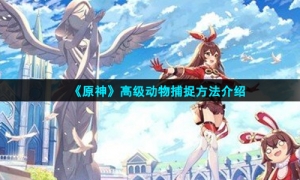 《原神》高级动物捕捉方法介绍