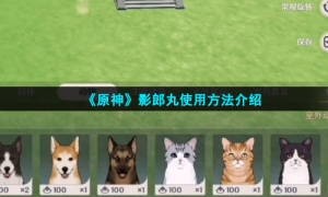 《原神》影郎丸使用方法介绍