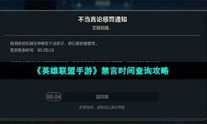 《英雄联盟手游》禁言时间查询攻略