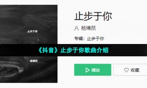 《抖音》止步于你歌曲介绍