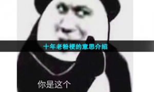 十年老粉梗的意思介绍