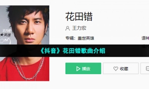 《抖音》花田错歌曲介绍