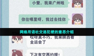网络用语社交逃犯梗的意思介绍
