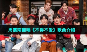 周震南翻唱《不得不爱》歌曲介绍