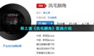 薛之谦《凤毛麟角》歌曲介绍