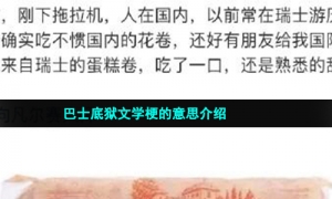 巴士底狱文学梗的意思介绍