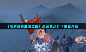 《哈利波特魔法觉醒》圣诞景点打卡位置介绍