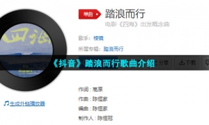 《抖音》踏浪而行歌曲介绍