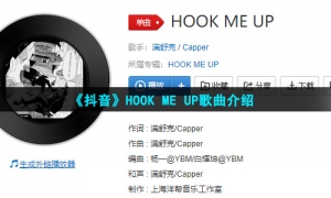 《抖音》HOOK ME UP歌曲介绍