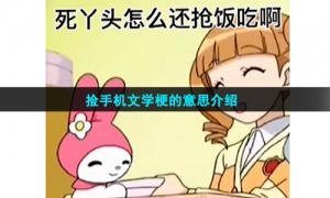 捡手机文学梗的意思介绍