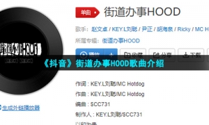 《抖音》街道办事HOOD歌曲介绍