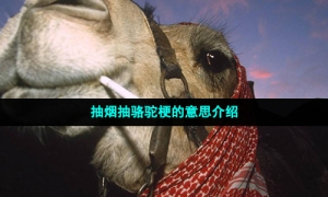 抽烟抽骆驼梗的意思介绍