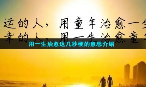 用一生治愈这几秒梗的意思介绍