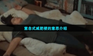 意念式减肥梗的意思介绍