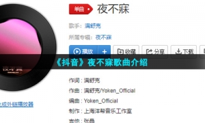 《抖音》夜不寐歌曲介绍