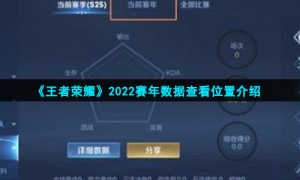 《王者荣耀》2022赛年数据查看位置介绍