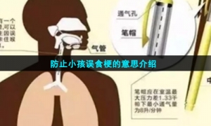 防止小孩误食梗的意思介绍