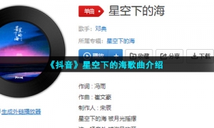 《抖音》星空下的海歌曲介绍
