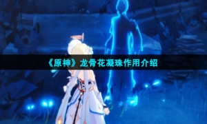 《原神》龙骨花凝珠作用介绍