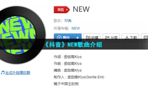 《抖音》NEW歌曲介绍
