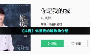 《抖音》你是我的城歌曲介绍