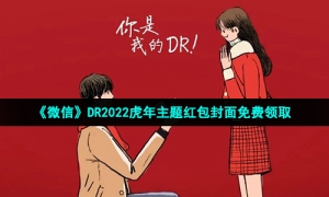 《微信》DR2022虎年主题红包封面免费领取