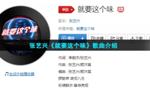 张艺兴《就要这个味》歌曲介绍
