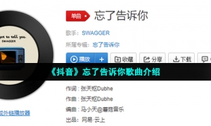 《抖音》忘了告诉你歌曲介绍