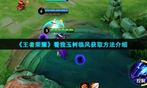 《王者荣耀》看我玉树临风获取方法介绍