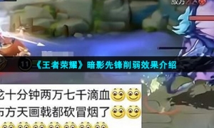 《王者荣耀》暗影先锋削弱效果介绍