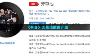 《抖音》芳草地歌曲介绍